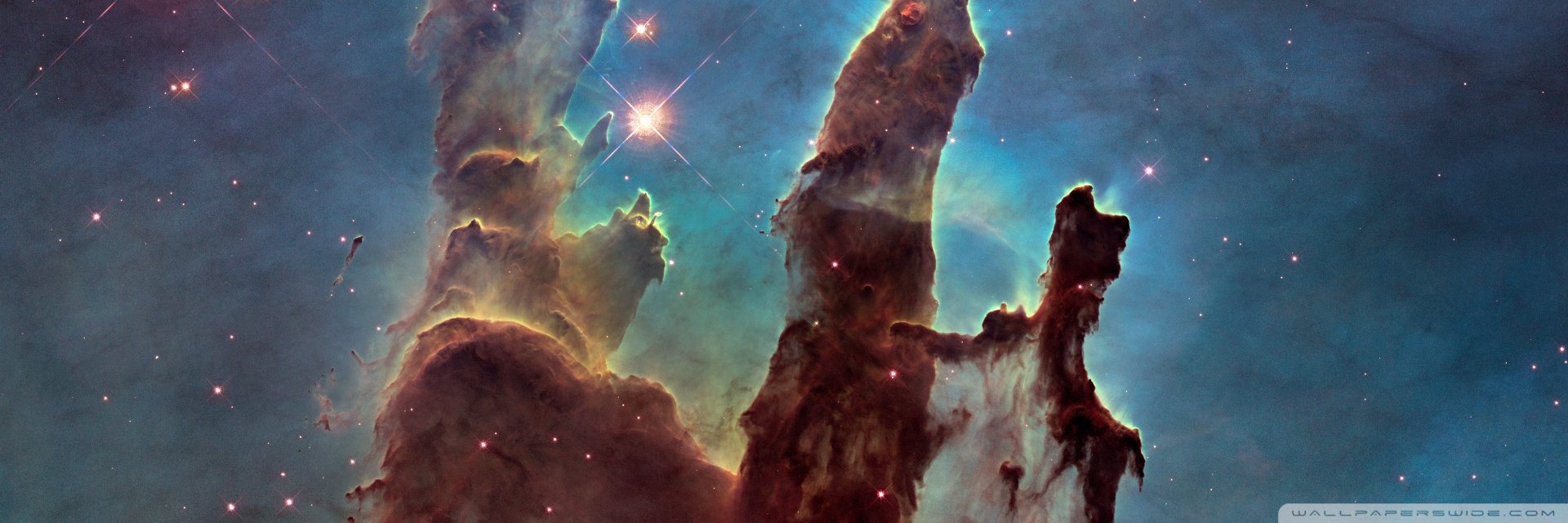 zamboni banner
