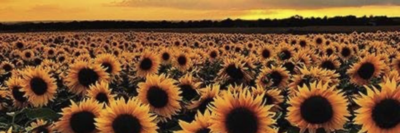 suigenerisIX's profile banner image