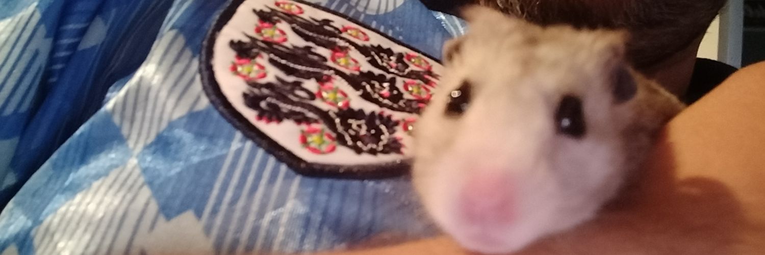 ippydon's profile banner image