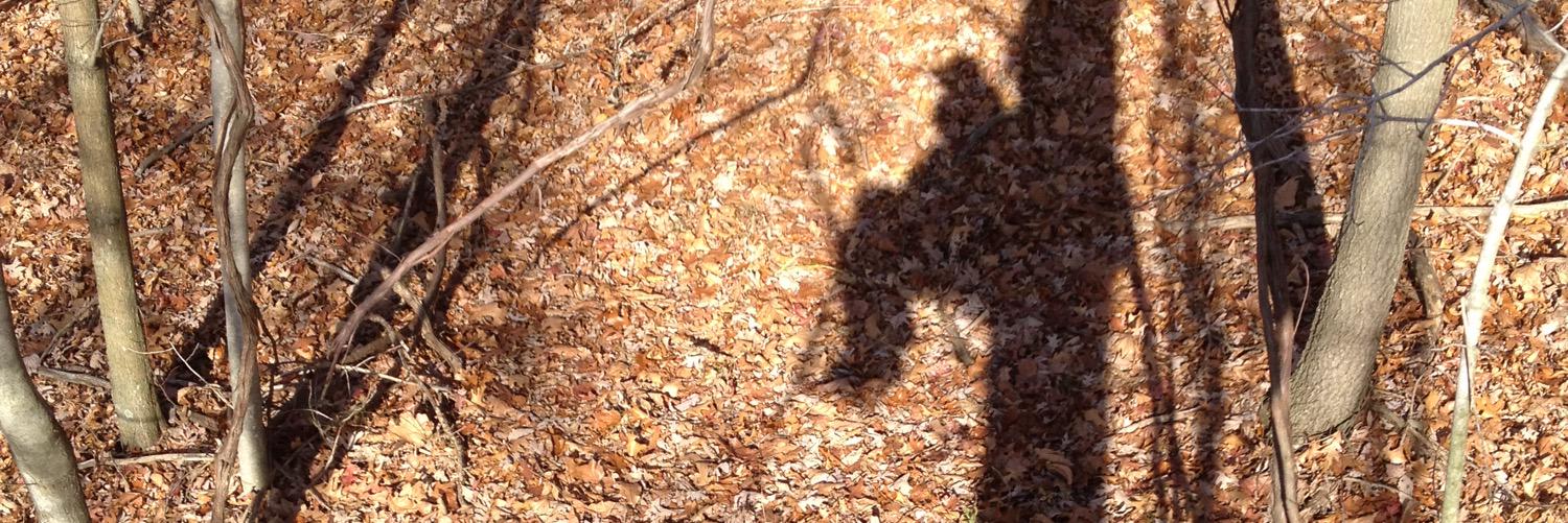 bowhunter170's profile banner image