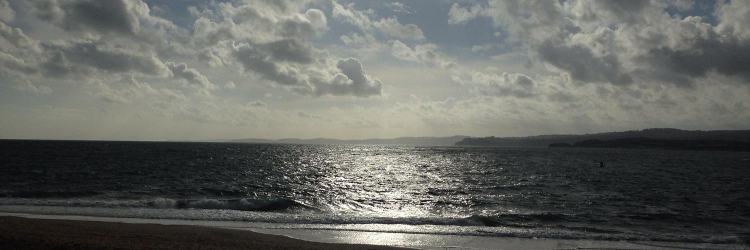Emma Davies banner