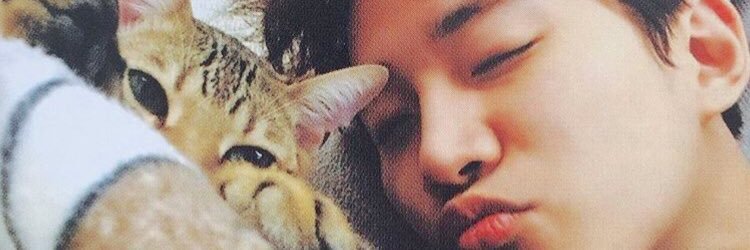 ♚♔ⓇⒾⒺⓁ♕♛ banner