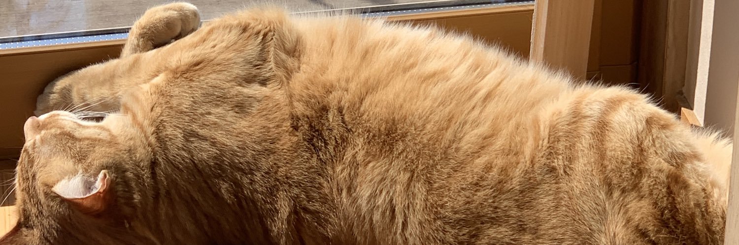harrytaka0's profile banner image