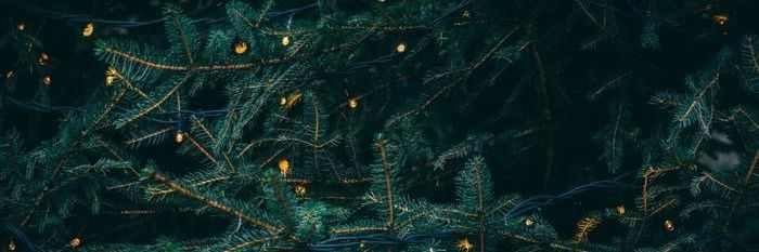 kellyvego's profile banner image