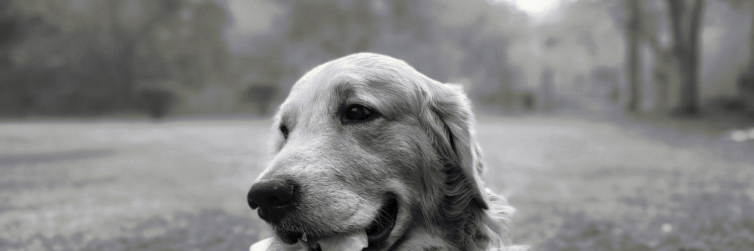 continuous_time's profile banner image
