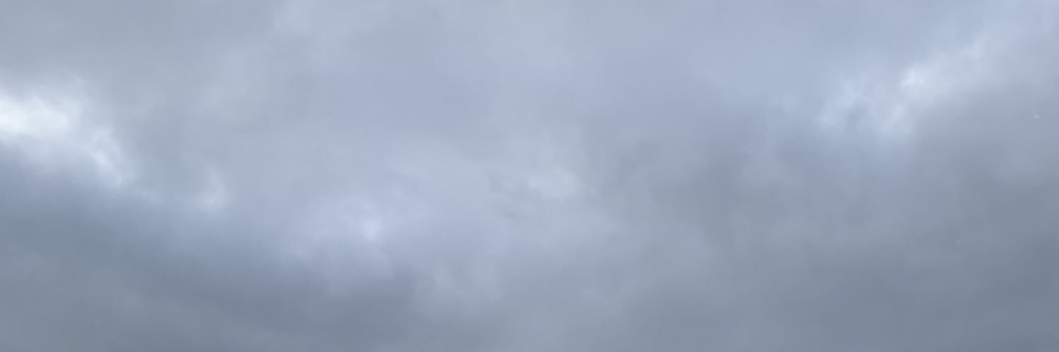 _maddystrader's profile banner image