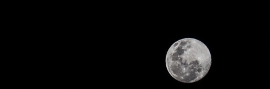 Green4Days's profile banner image