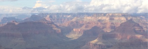 alisonhedrick Profile Banner