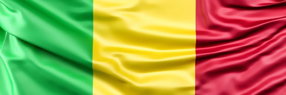 Ibrahim Dolo banner