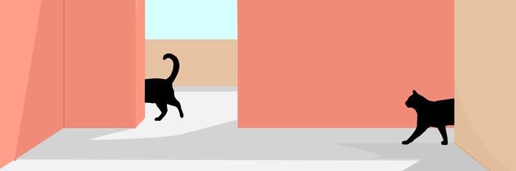 antisocialightt's profile banner image