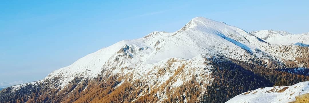 Ruggiero Rippo, Ph.D banner