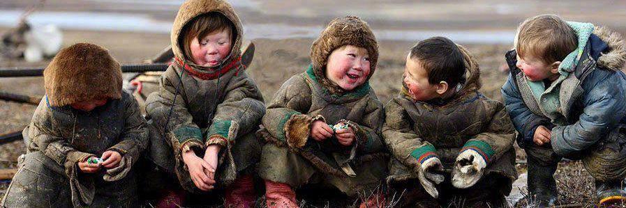 Ormandageznkırpidesi banner