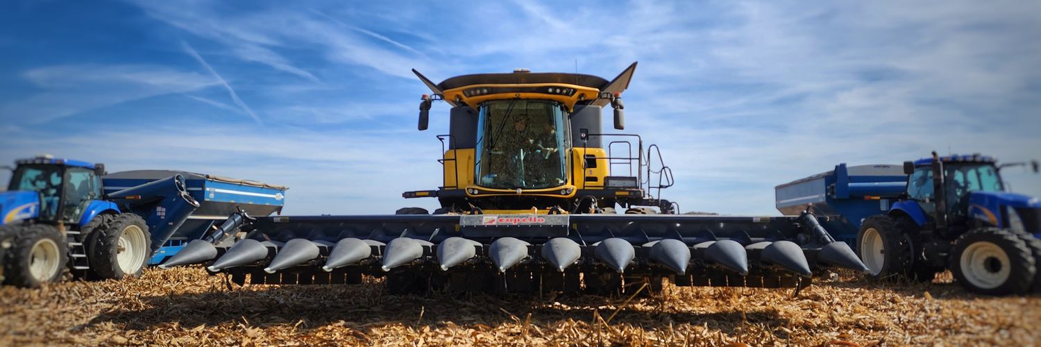 capelloheaders's profile banner image