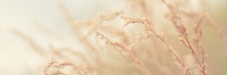 __dreaaa's profile banner image