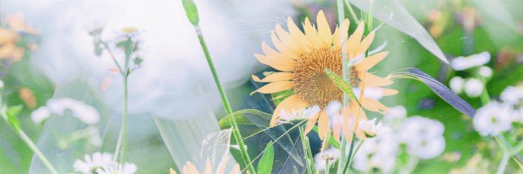 abd_noaf95's profile banner image