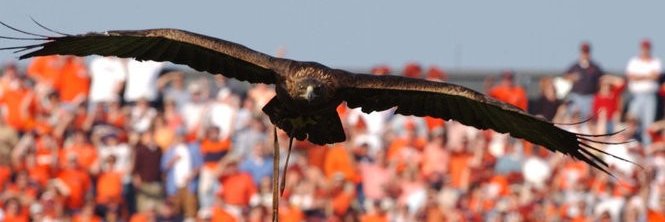 Bird715's profile banner image
