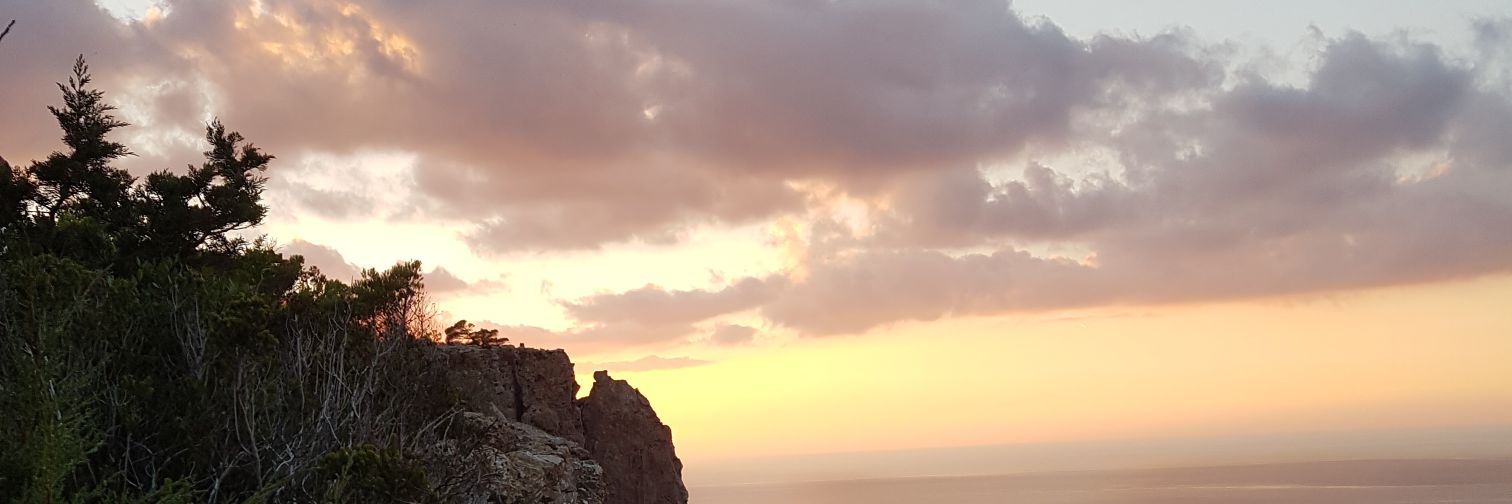 Sutor15's profile banner image