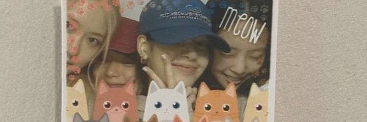 dwi🚀 banner