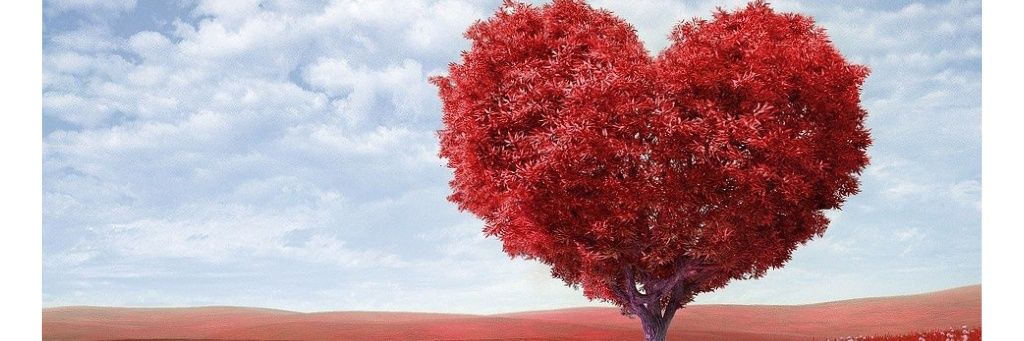 MaryMoSoLu's profile banner image