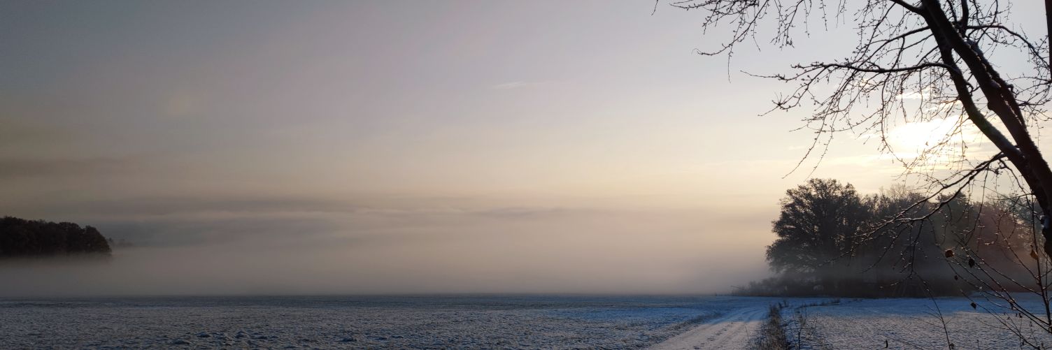 daggilina's profile banner image