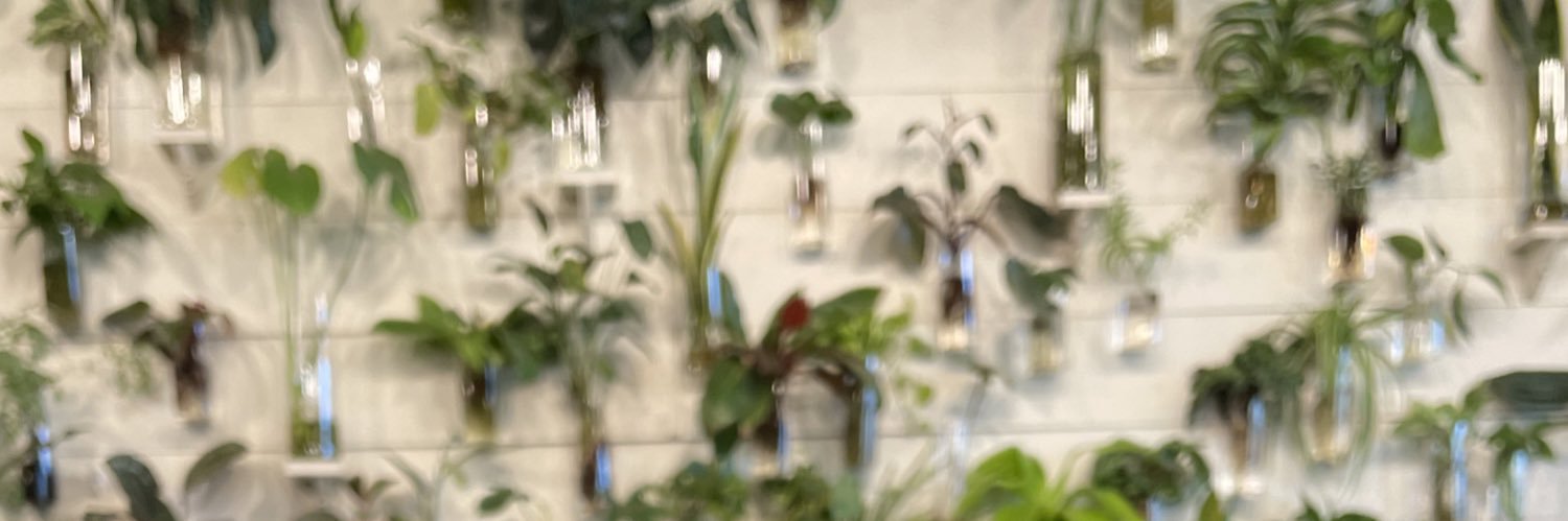 alaura_ramos's profile banner image