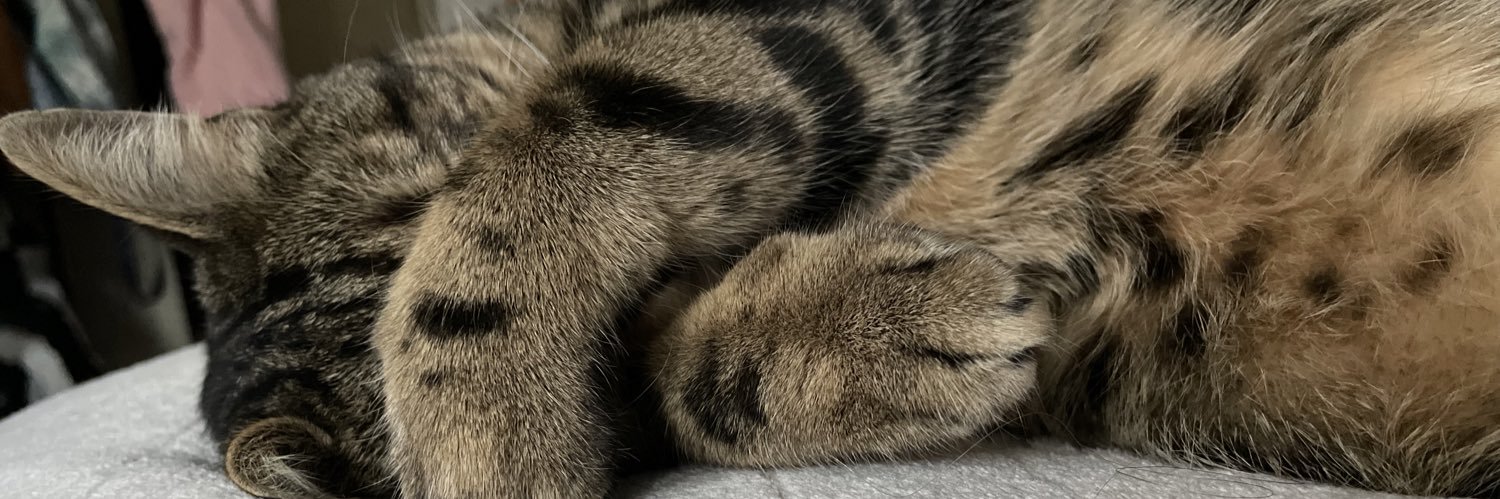HermanceLrnt's profile banner image