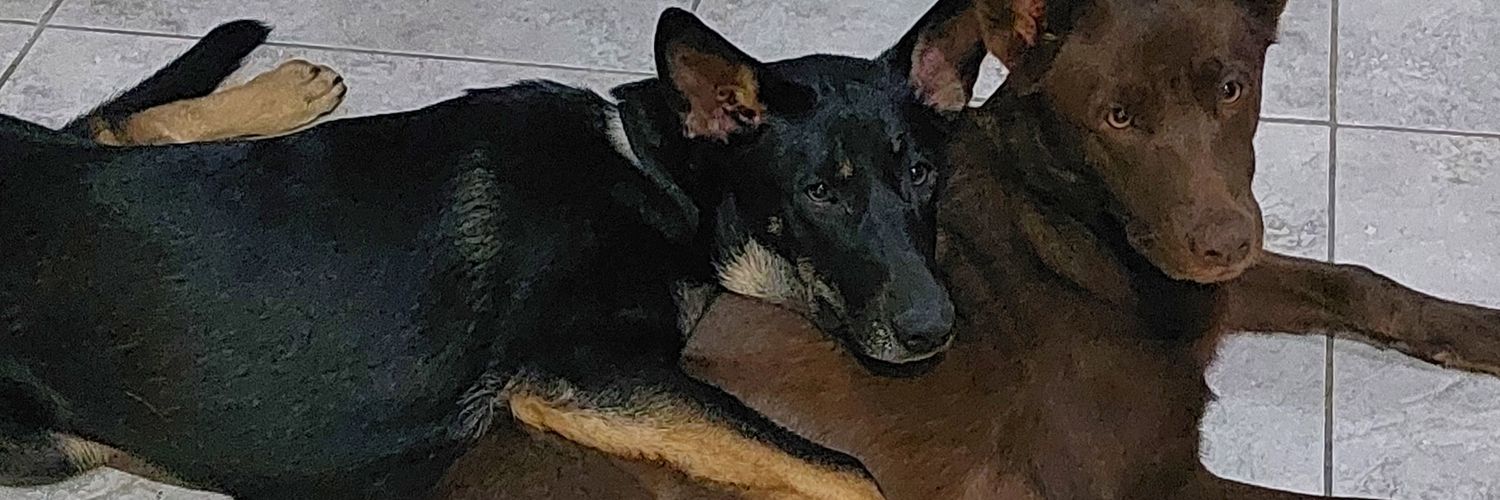 Giuli1422's profile banner image