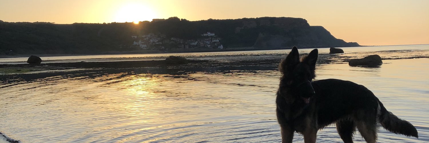 AprilllCole's profile banner image