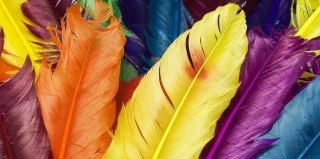 Tugce_Evrn's profile banner image