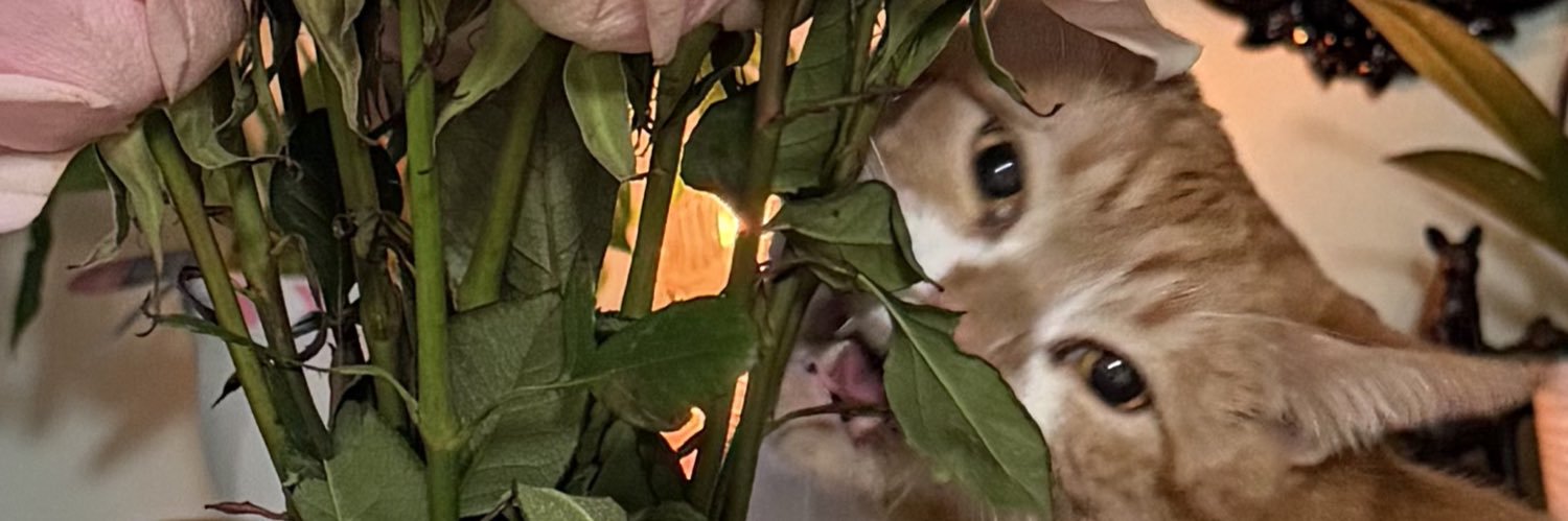 spookyrusky's profile banner image