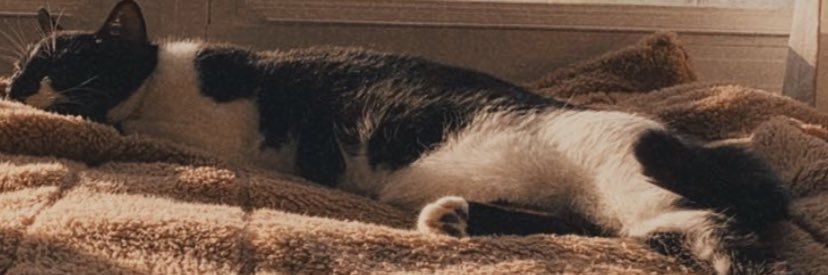 idkilisa's profile banner image