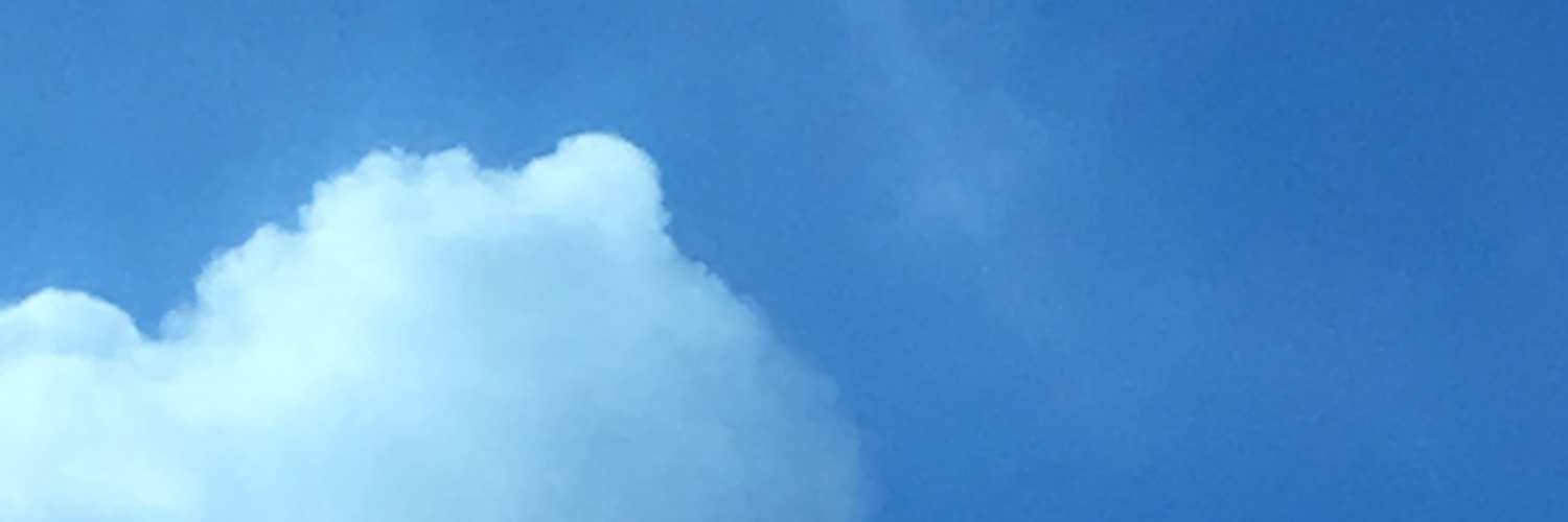 notvavv's profile banner image