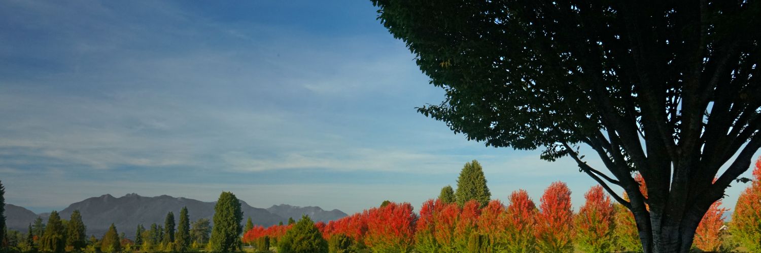 MannyManpreet's profile banner image