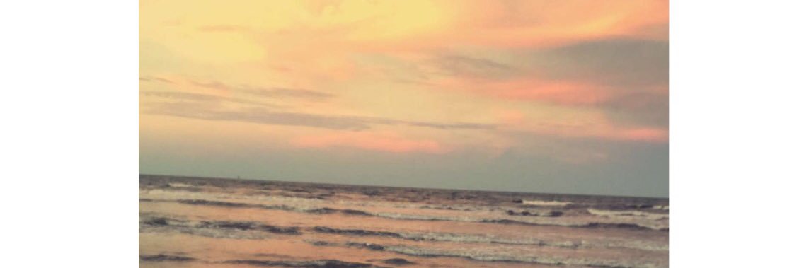x___lexi's profile banner image