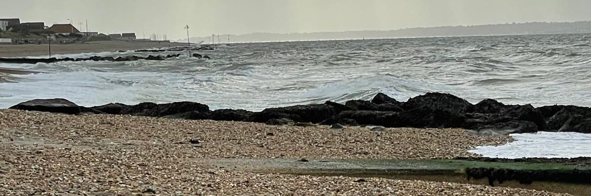 bluedavies's profile banner image