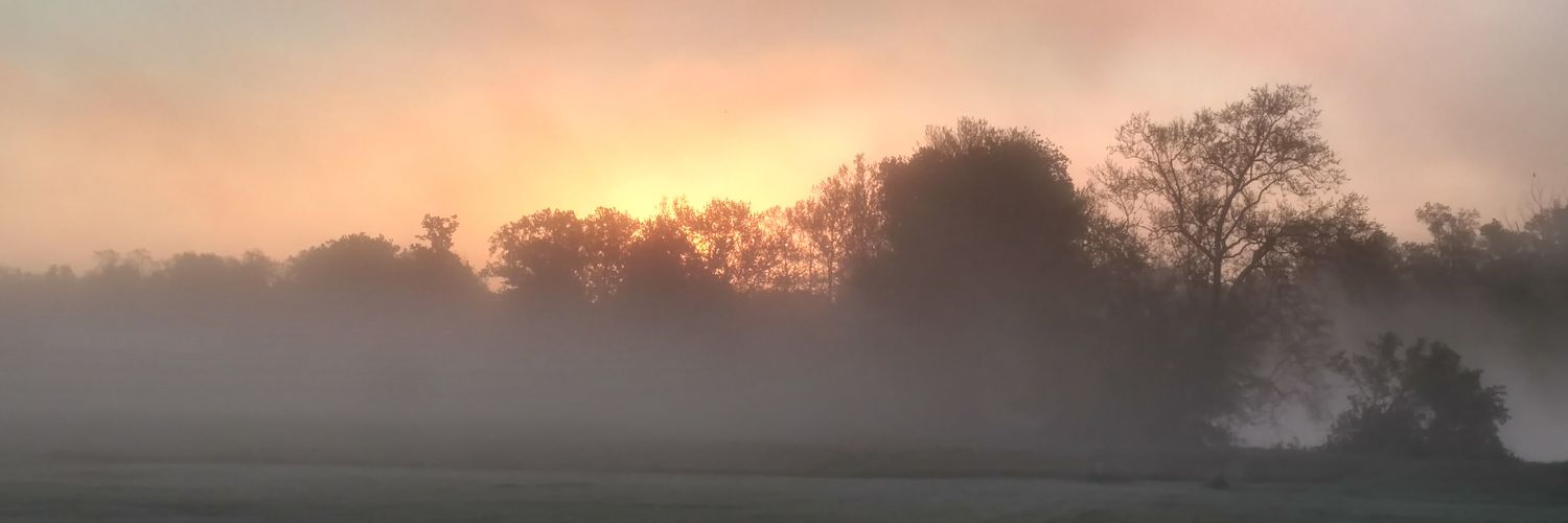 chaudrue's profile banner image