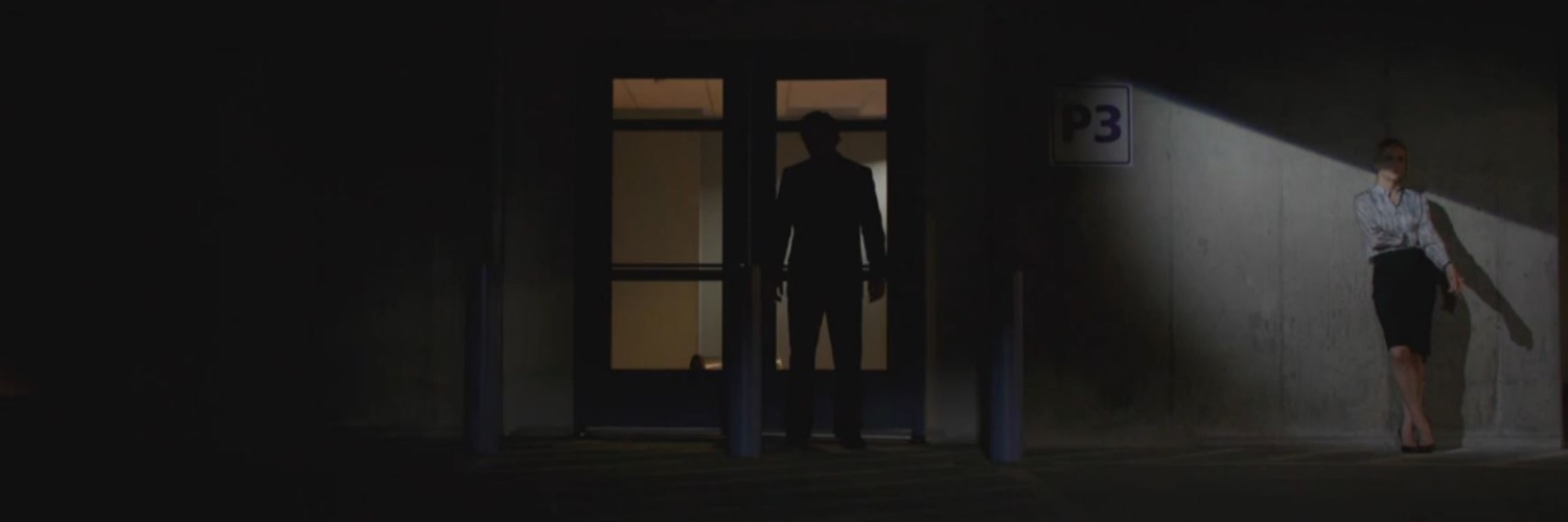 Chris Hertlein banner