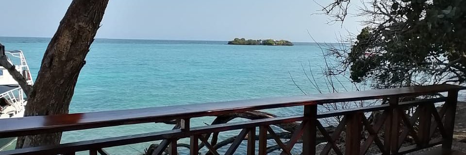 Pierimaestracci's profile banner image