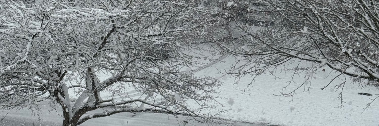 stlrbum's profile banner image