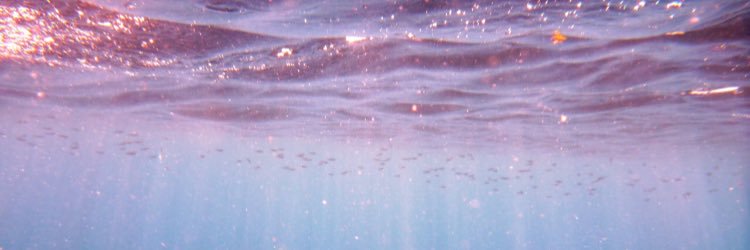 AlliWinfreee's profile banner image