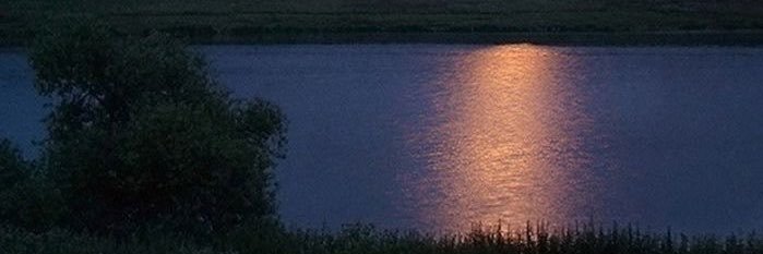 vnlesn's profile banner image