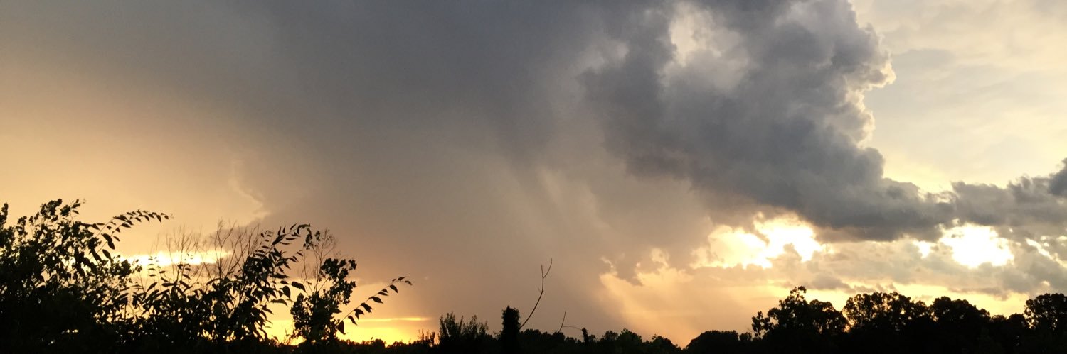 arpdog's profile banner image