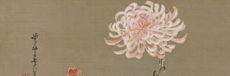 ANTIDEPRESSlVA's profile banner image