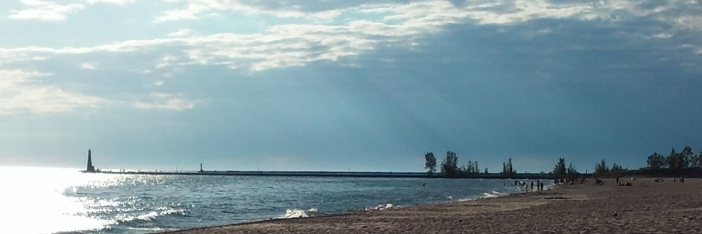 DM Brown. 🥥🌴Freedom in Democracy always! banner