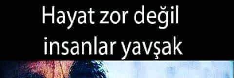 Yörük ALİ Efem banner