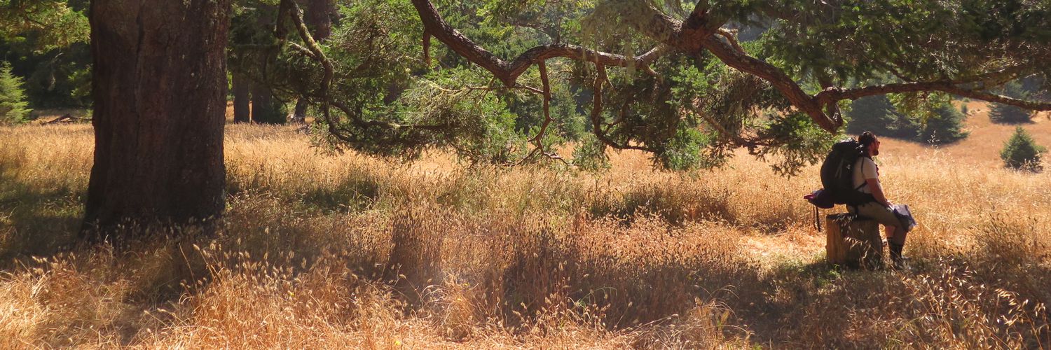 NCardCreative banner