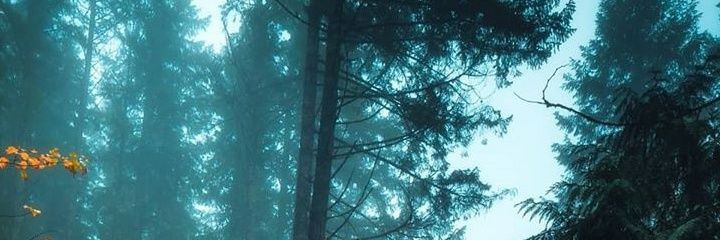 wallaceposcam's profile banner image