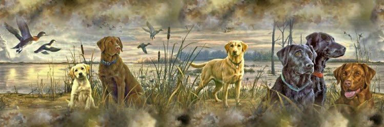 lobrady504's profile banner image
