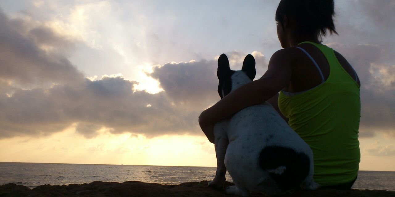 rakel_go's profile banner image