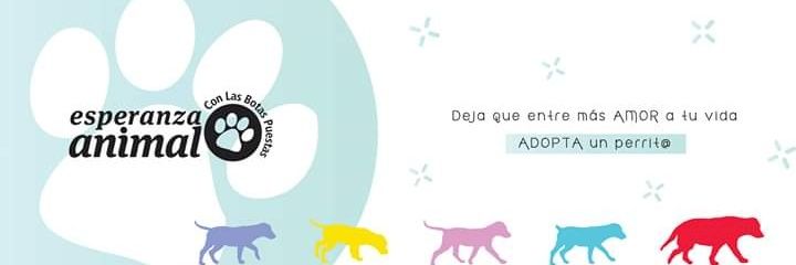 Equipo E.A.B.P. banner